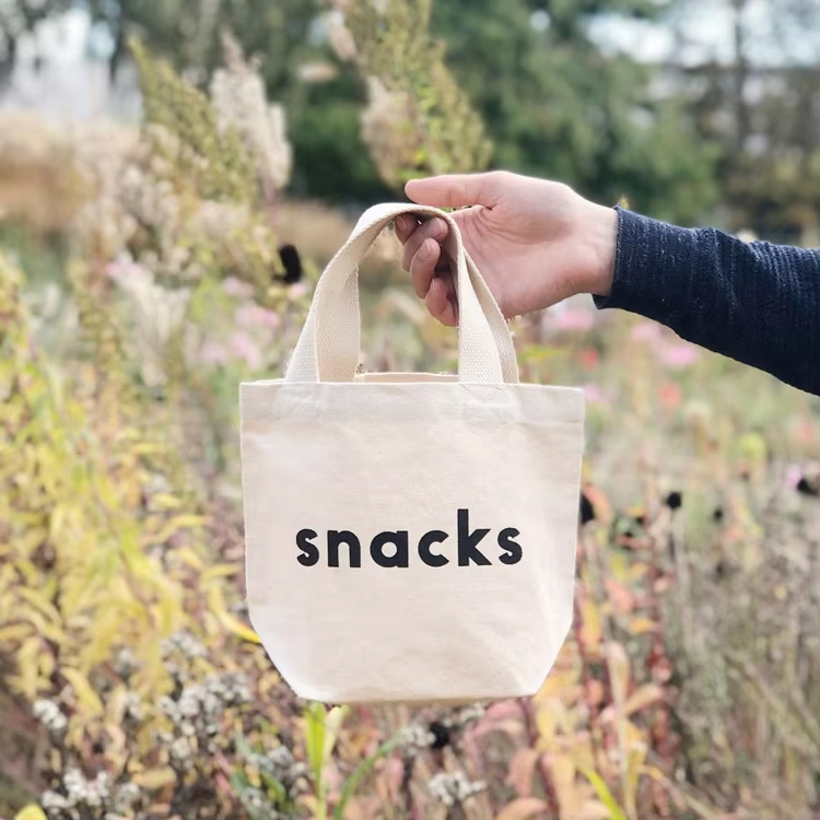 Small Canvas Tote Bag